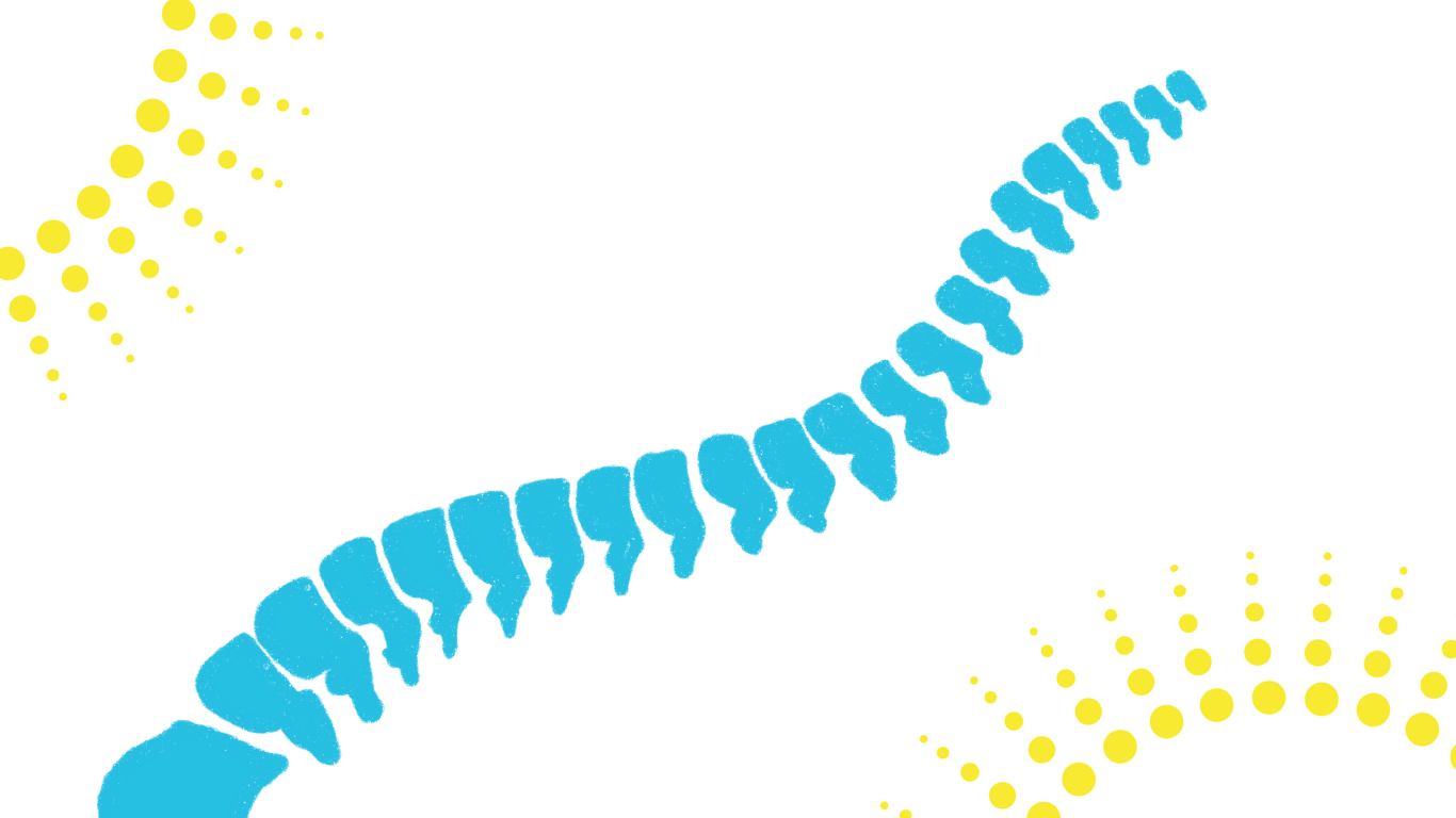 chiropractic spine clipart